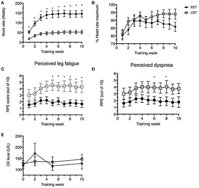 Eccentric Ergometer Training Promotes Locomotor Muscle Strength but Not Mitochondrial Adaptation in Patients with Severe Chronic Obstructive Pulmonary Disease